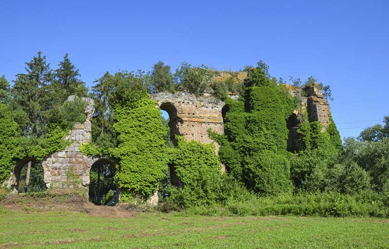 veduta tra gli alberi