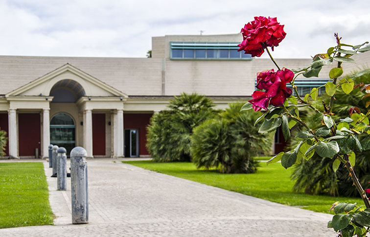 viale dell'ingresso alle terme